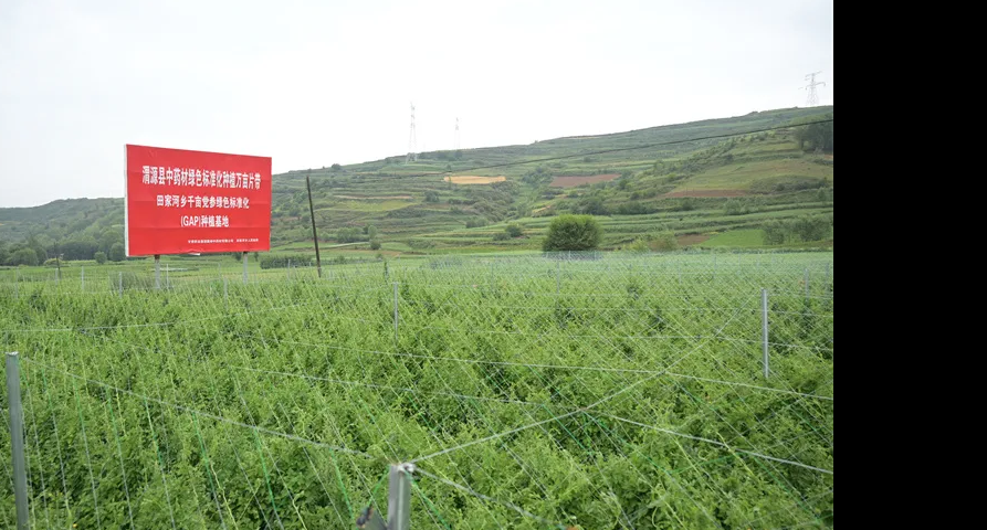 “十四五”答卷 | 甘肃药业集团——聚力引领带动 锚定全链升级